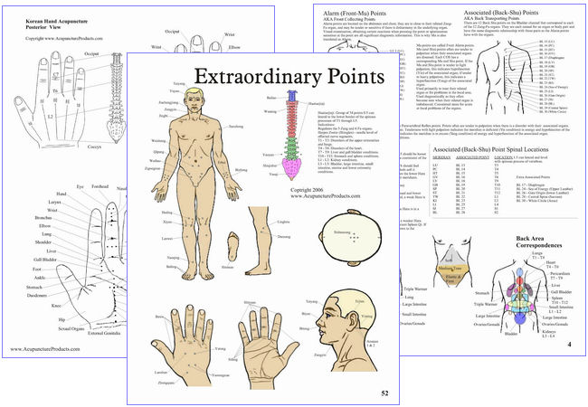 Acupuncture Handbook