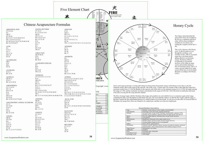 Acupuncture Handbook CD