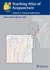 Teaching Atlas of Acupuncture
