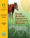 Equine Landmark Anatomy & Acupoint Energetics