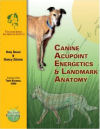 Canine Acupoint Energetics & Landmark Anatomy
