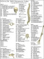 Chiropractic ICD-9-CM Chart