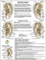 Smoking Cessation Ear Acupuncture Point Chart 