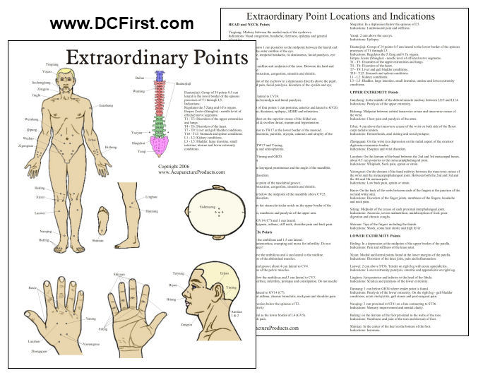 Chinese Ear Acupuncture Laminated Chart