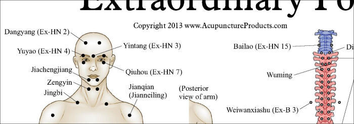 Extraordinary Acupuncture Points Chart