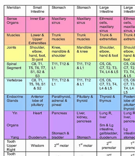 Dental Tooth Acupuncture Meridian Chart