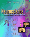Neuroscience: Fundamentals for Rehabilitation