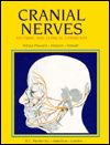 Cranial Nerves: Anatomy and Clinical Comments