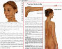 Acupuncture Meridians