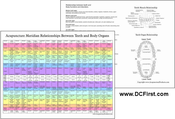 Dental Meridian Chart
