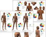 Acupuncture Meridian 5 Chart Set