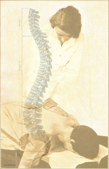 Chiropractic Adjustment