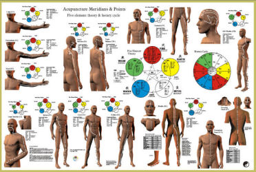 Acupuncture Meridian Poster