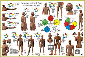 Acupuncture Meridian Points Poster