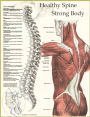 Healthy Spine / Strong Body 