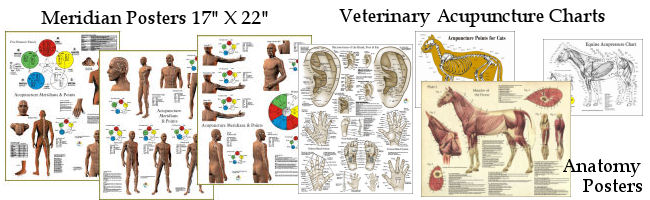 Acupuncture Posters & Charts