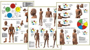 Acupuncture Meridian Poster Set