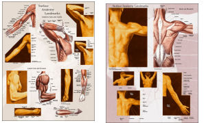 Click to View 