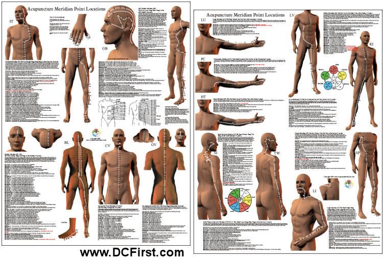 Acupuncture Point Locations Posters