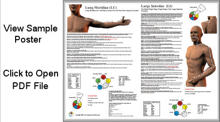 Download Sample Meridian Poster