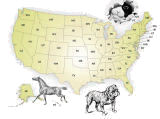 Locate a Veterinary Acupuncture Office or Practitioner