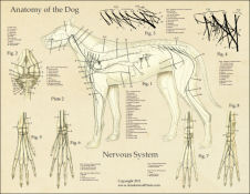 Click to View 