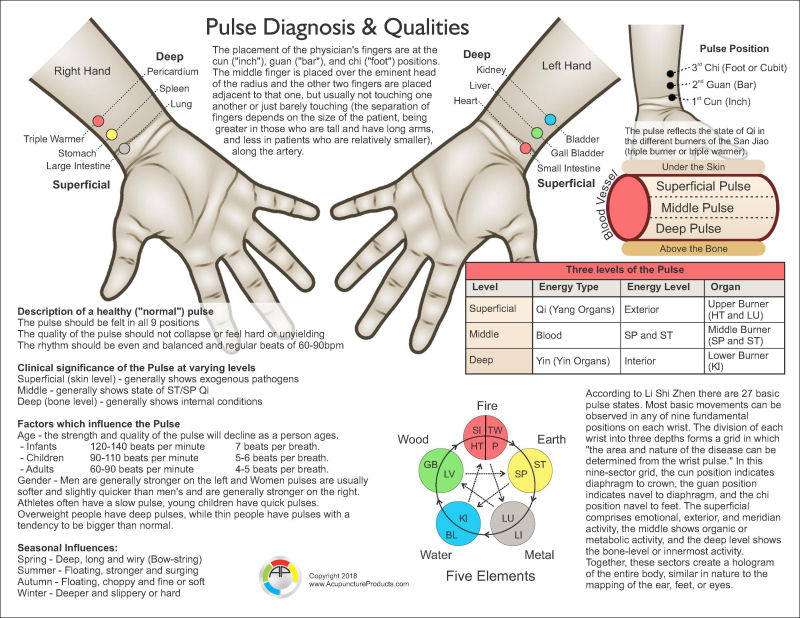 Pulse Diagnosis Acupuncture Chart
