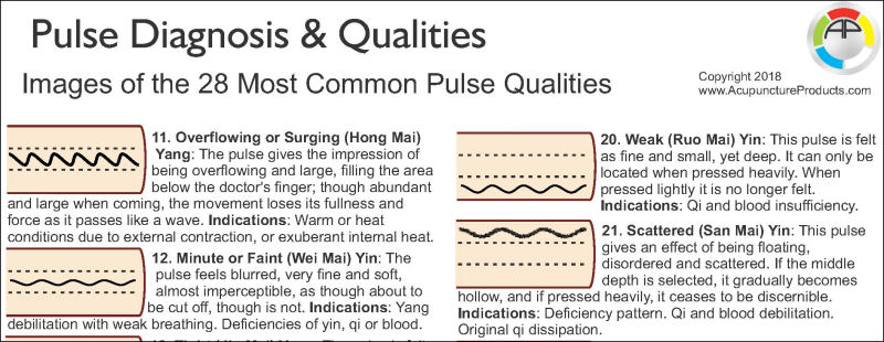 Pulse Diagnosis Images Chart