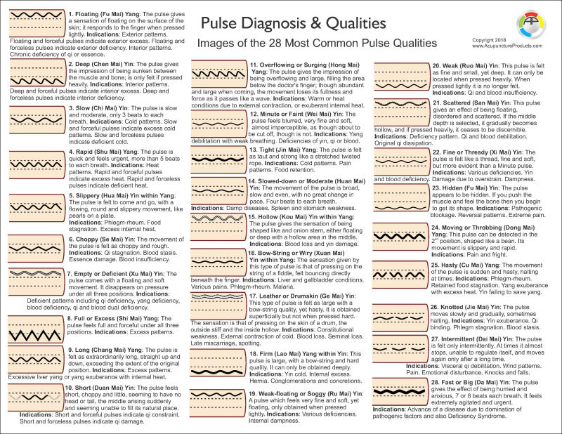 Pulse Diagnosis Images Chart