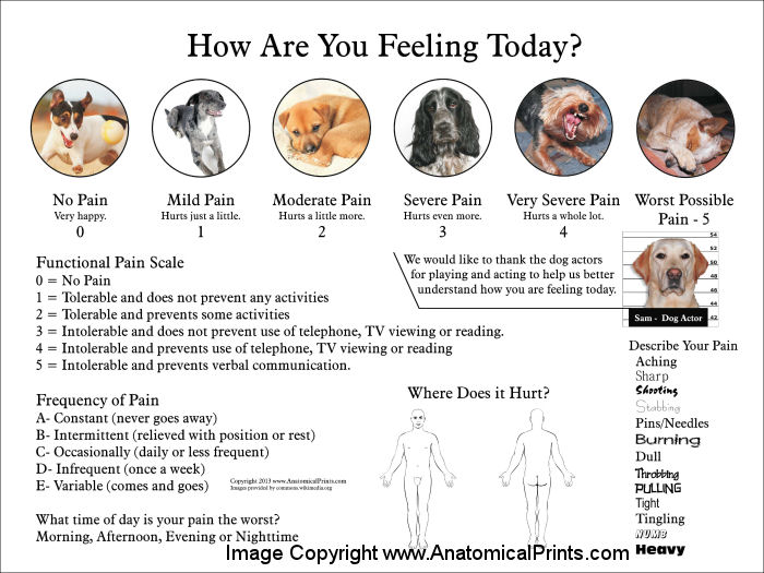 Pain Scale Poster
