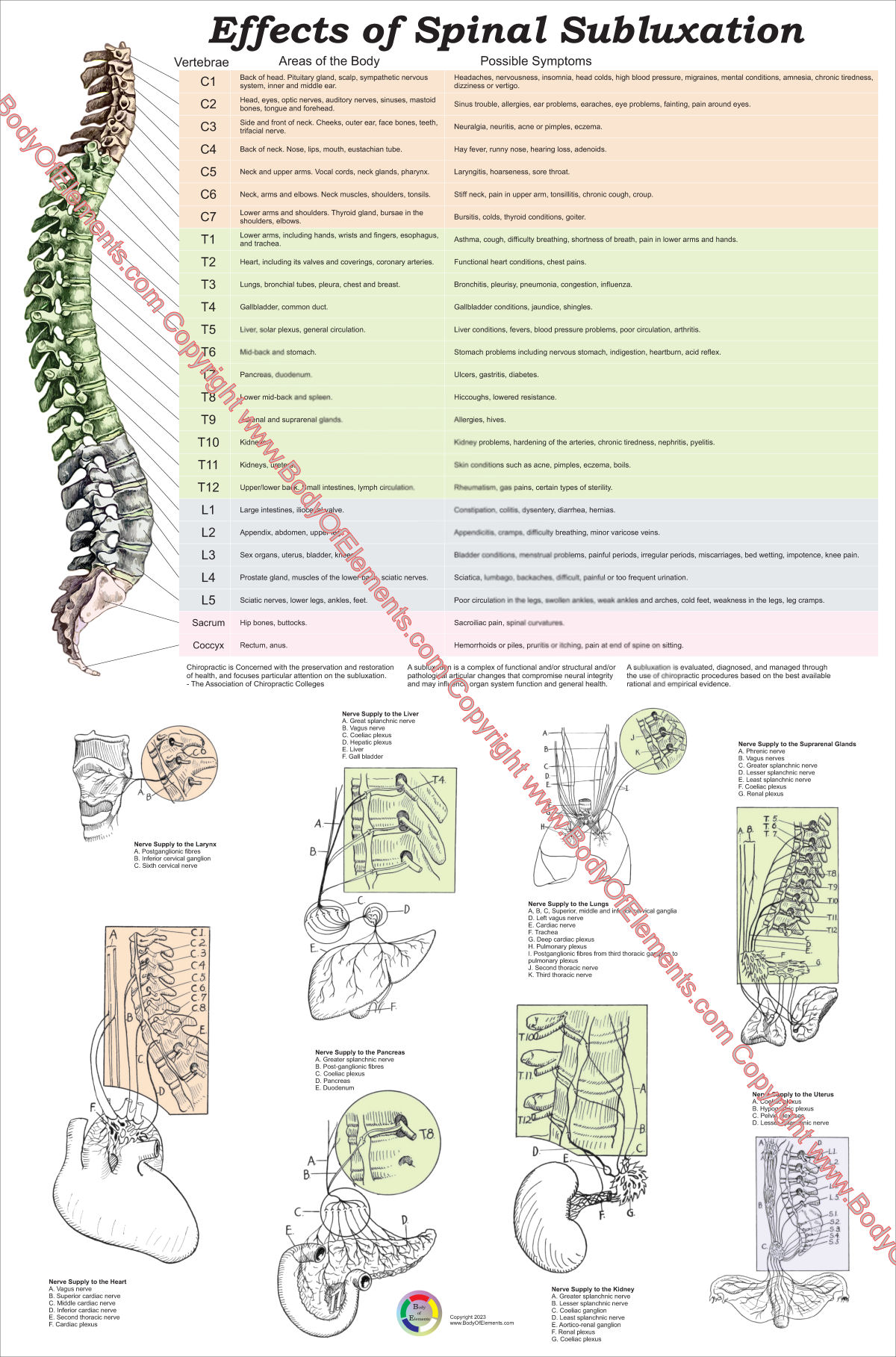 Effects of Spinal Subluxation Poster