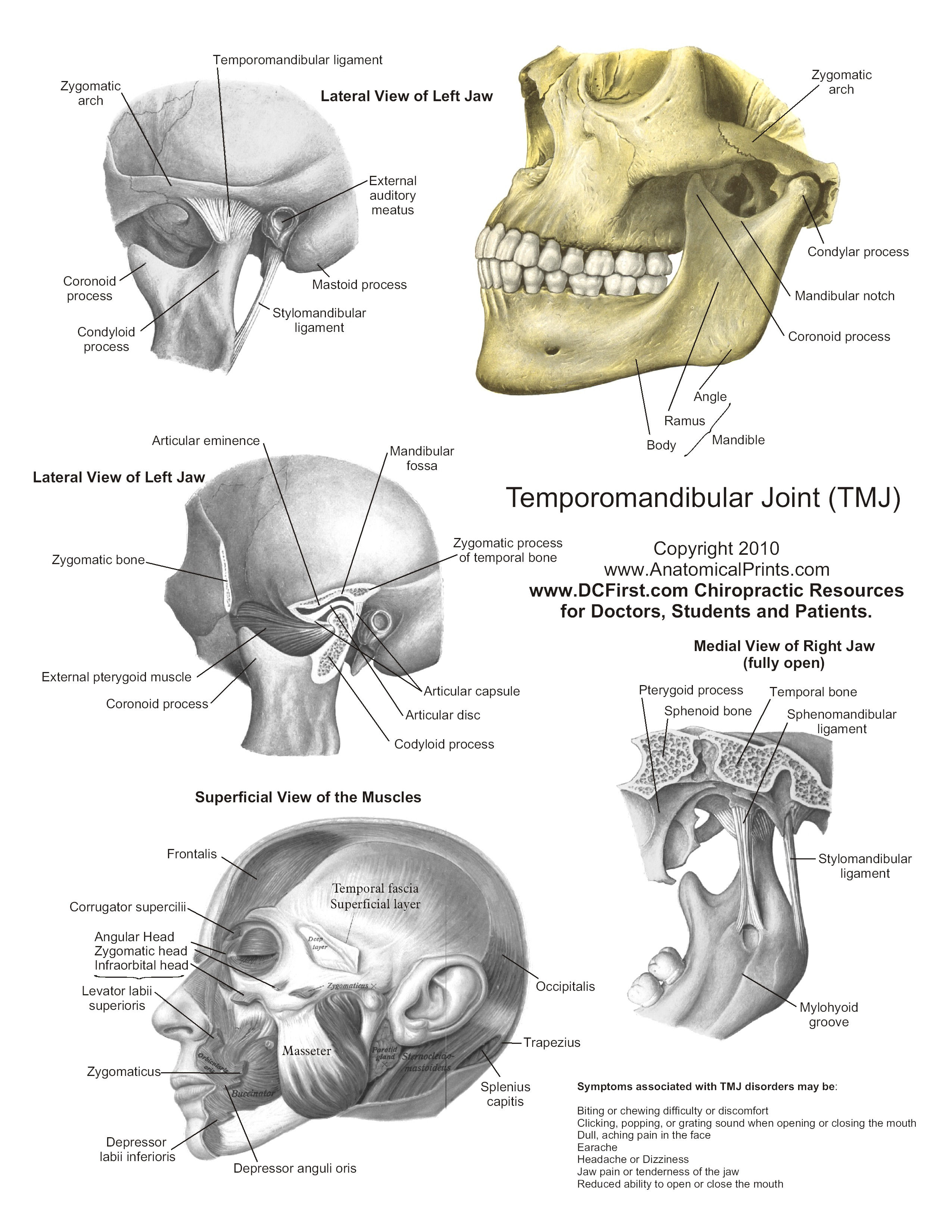 clinical mr imaging