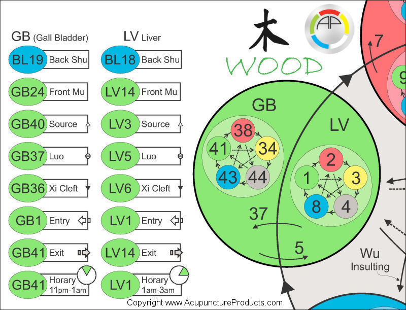 Five Elements Acupuncture Chart