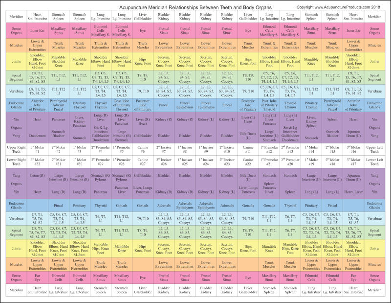 Tooth Meridian Chart