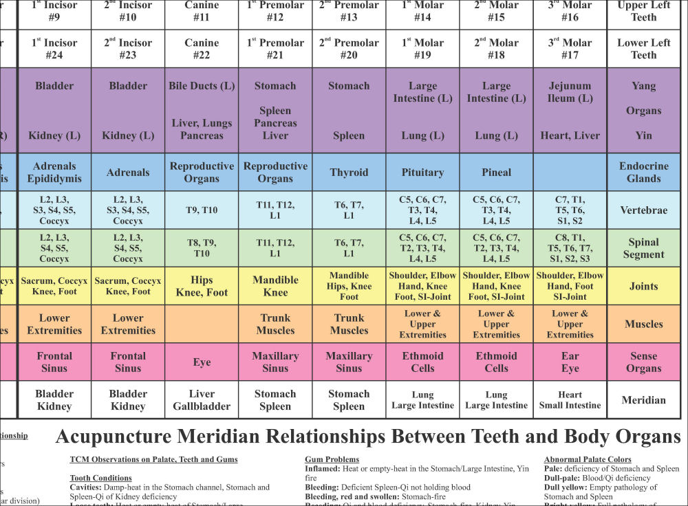 Dental Acupuncture Chart