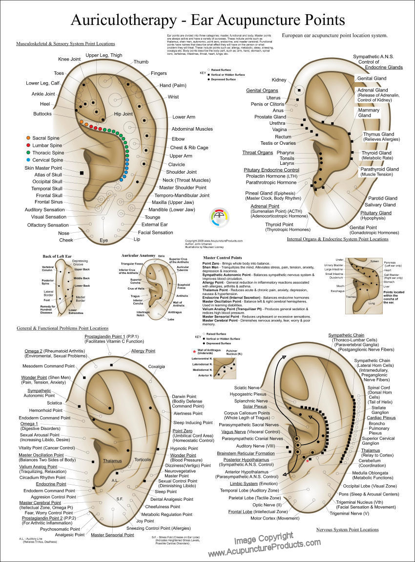 Auriculotherapy Ear Acupuncture Poster
