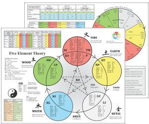 Acupuncture Tooth Chart