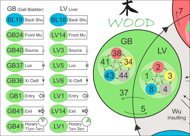 Five Element Acupuncture Points Chart