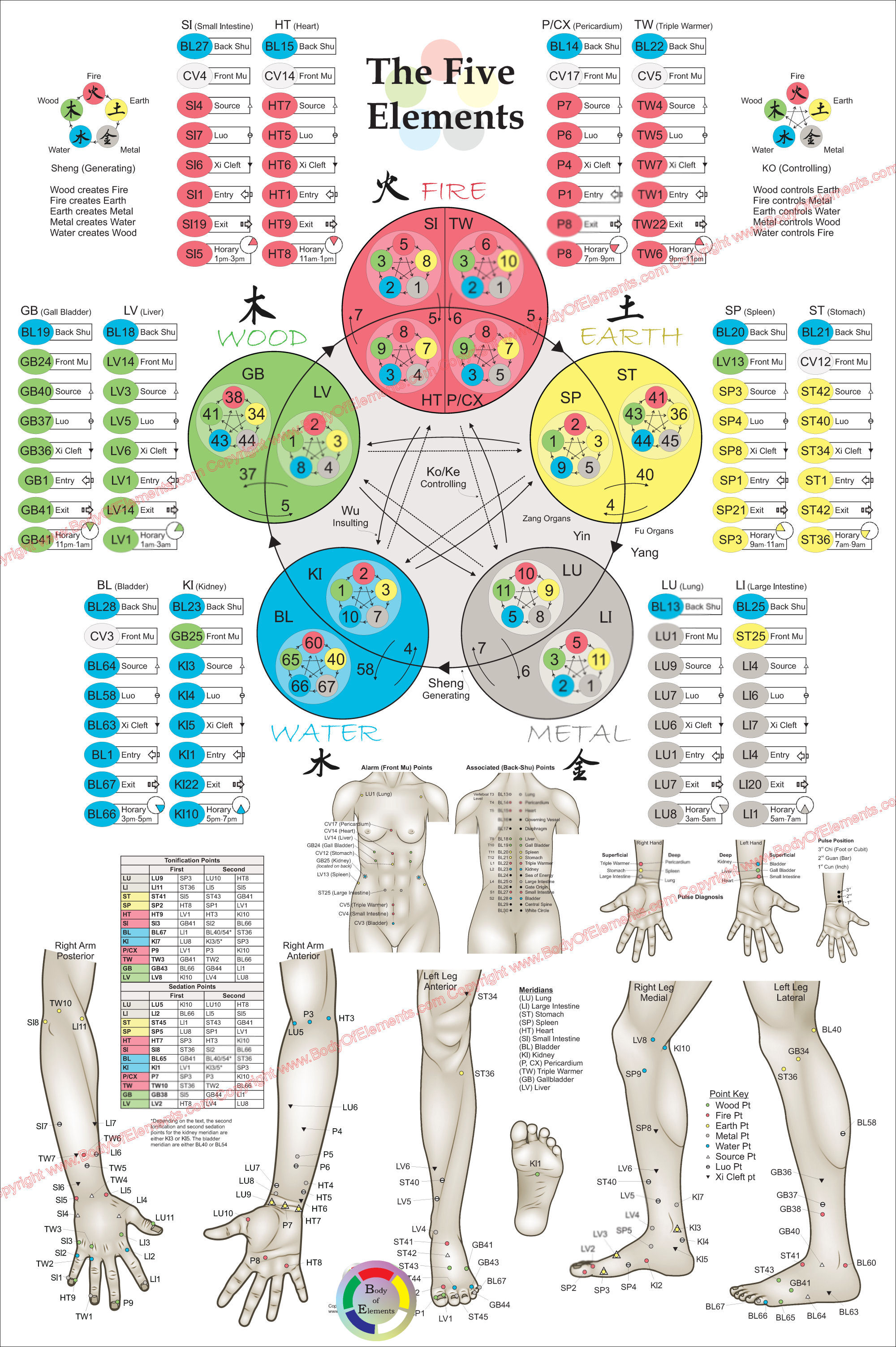 Five Element Acupuncture Theory Poster