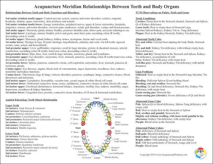 Holistic Dental Acupuncture Chart