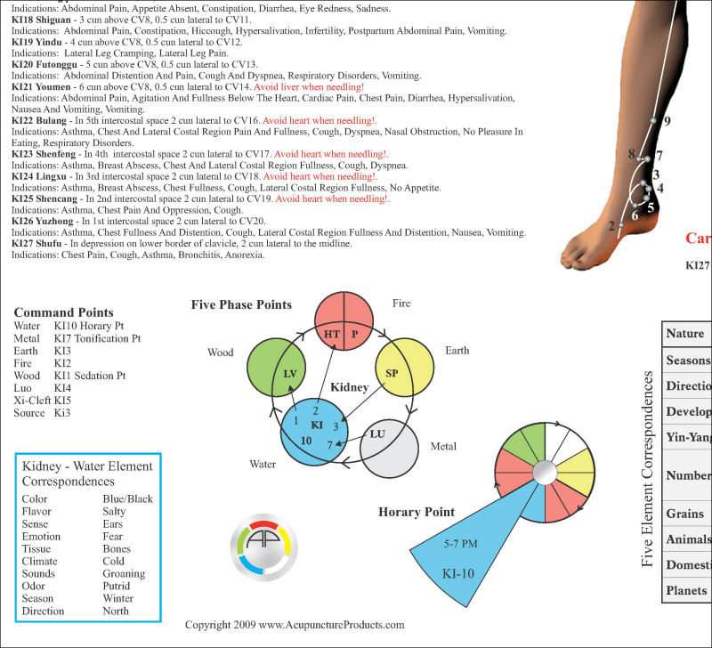 Kidney Acupuncture Meridian