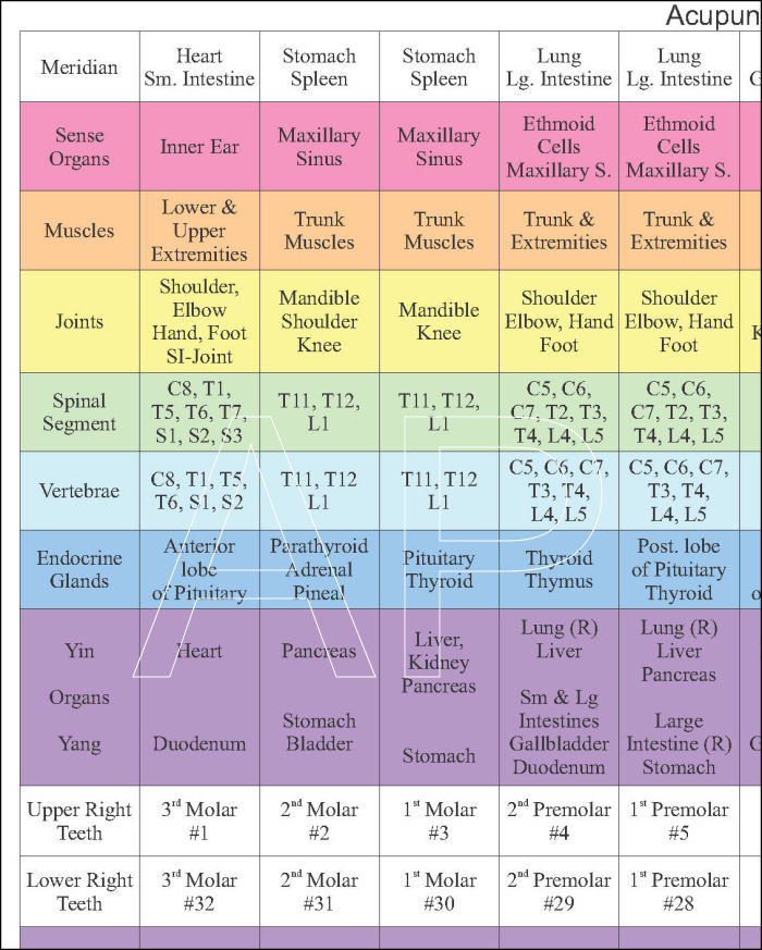 Dental Acupuncture Meridian Chart