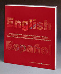 English/Spanish Anatomical Chart Desktop Collection