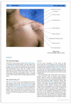 Anatomy, Palpation and Surface Markings