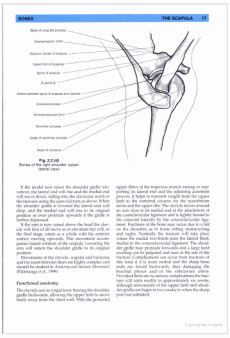 Anatomy, Palpation and Surface Markings