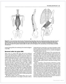 Assessment of the Spine