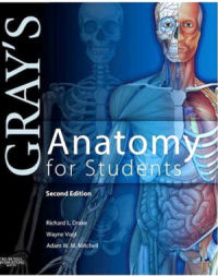 Gray's Anatomy for Students