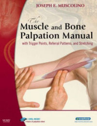 Muscle and Bone Palpation Manual