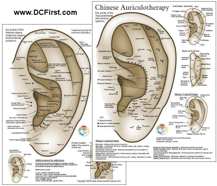 Chinese System of Auricular Ear Acupuncture Chart