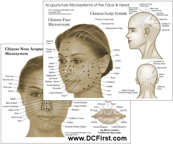 Acupuncture Chart Female